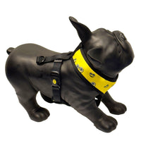 The Smiler Dog Harness