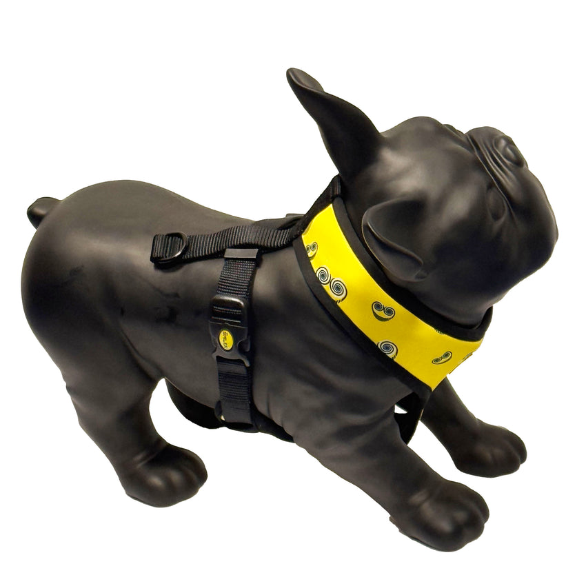 The Smiler Dog Harness