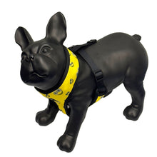 Load image into Gallery viewer, The Smiler Dog Harness

