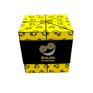 The Smiler Dynacube Puzzle
